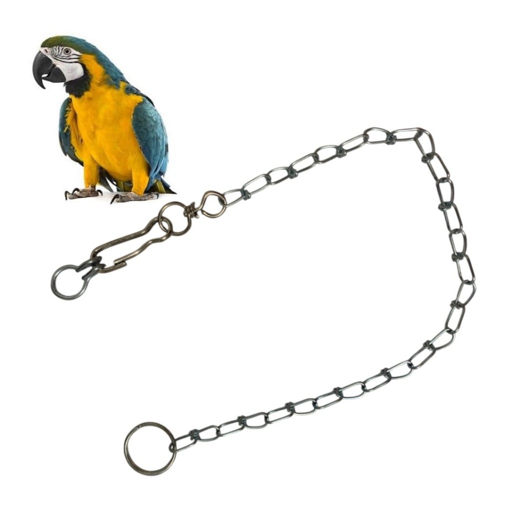 Corrente Papagaio Pássaros Aves e Calopsita De Grande Porte 40cm em Oferta na Shopee