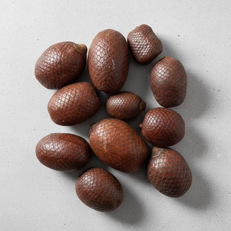 Casca de Coco Artesanato: Onde Comprar | BuscaProdutos