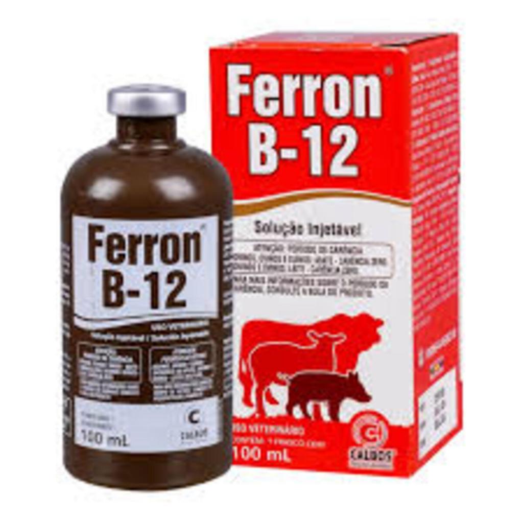 Ferron B12 100 Ml Tratamento De Anemias Deficiencia De Ferro