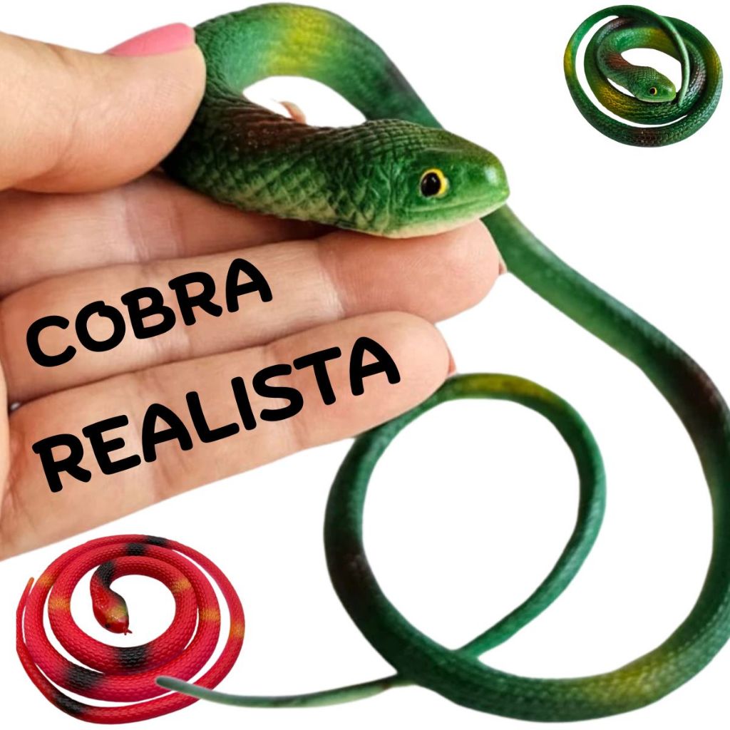 Borracha Verde Grande: Onde Comprar | BuscaProdutos