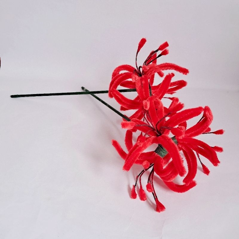 Lírio Aranha Vermelho: Onde Comprar | BuscaProdutos