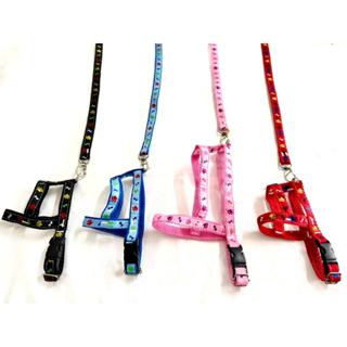 Conj. de Guia/Peitoral Tradicional Pata Osso para Cães e Gatos em Oferta na Shopee