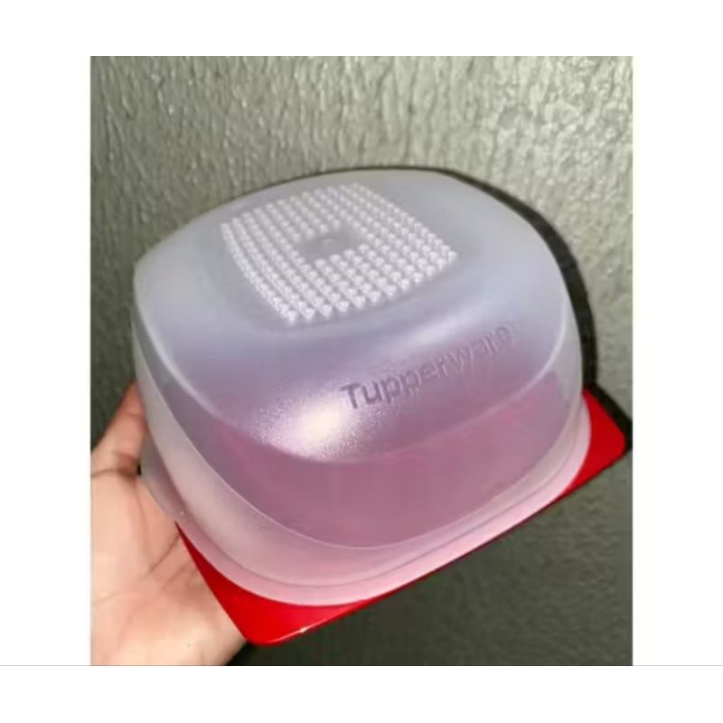 Queijeira Tupperware: Onde Comprar | BuscaProdutos