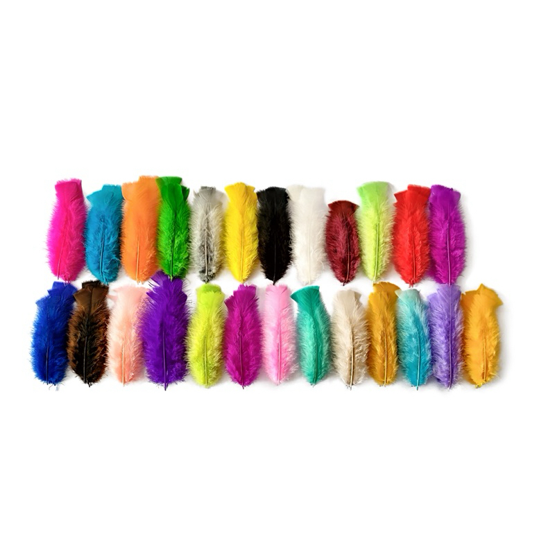 Pacote  com Penas Coloridas 60 Unidades - Escolha Sua Cor em Oferta na Shopee