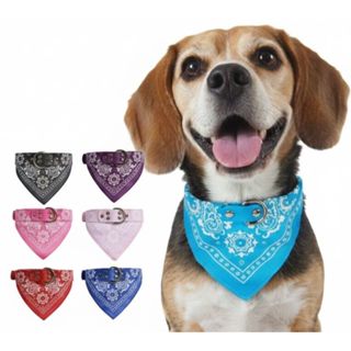 Coleira Para Gato e Cachorro Com Bandana P M G Promoção em Oferta na Shopee