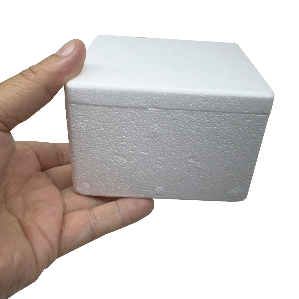 01 CAIXA DE ISOPOR 250GR MEDICAMENTOS VEJA MEDIDAS ANTES em Oferta na Shopee