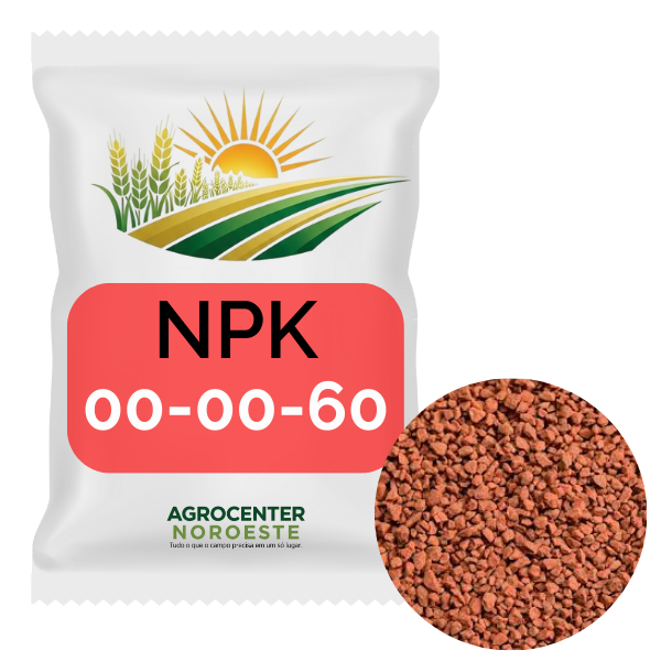 Fertilizante para Samambaia: Onde Comprar | BuscaProdutos