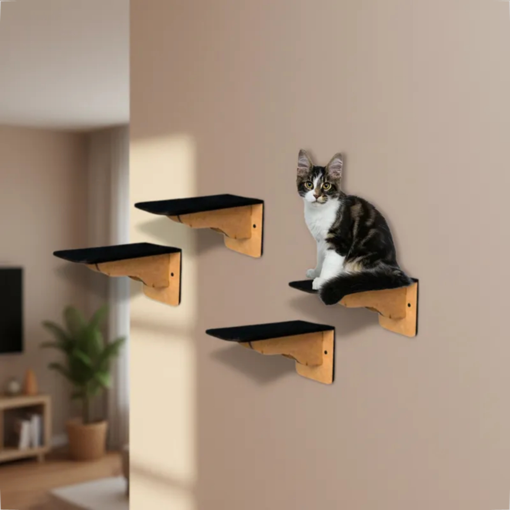 Kit 4 Degraus Para Gatos prateira degrau escada para Gato - Enviado 100% MONTADO em Oferta na Shopee