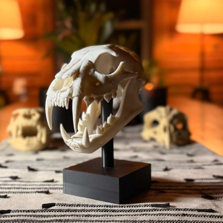 Crânio de Leão Africano em Base – Peça Decorativa Realista