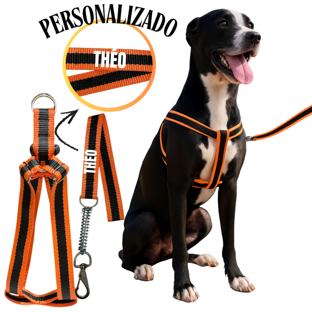 Coleira pra cachorro guia personalizada pequeno médio e grande forte Boxer Labrador anti puxão em Oferta na Shopee