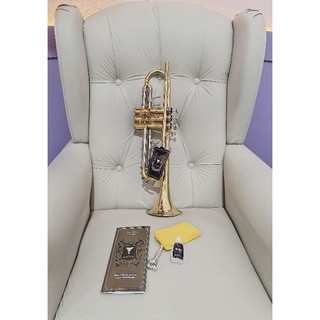 Trompete EAGLE TR504 Sib Laqueado + Bocal + Óleo Lubrificante de Pisto + Maleta Extra Luxo