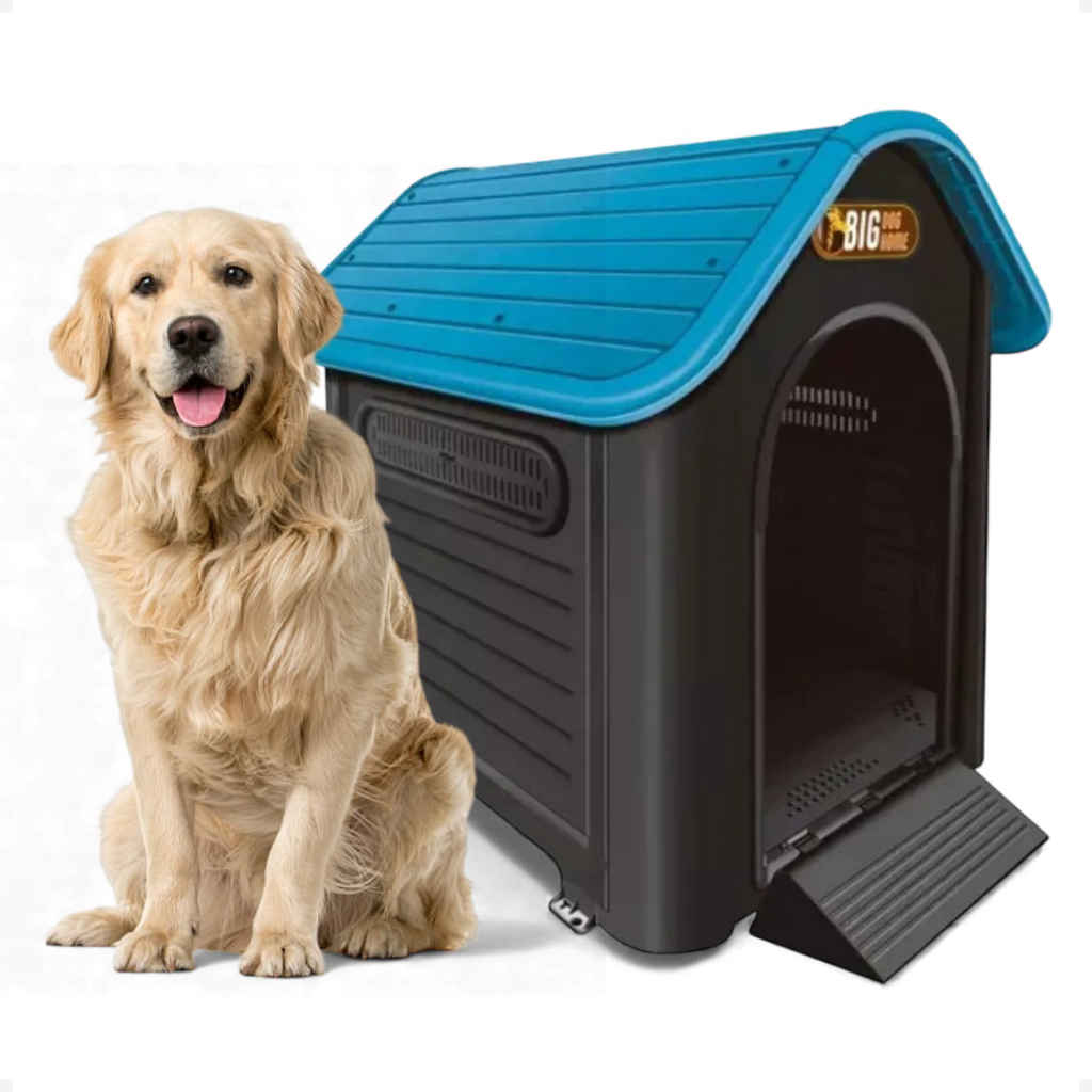 Dog Alemão Gigante: Onde Comprar | BuscaProdutos