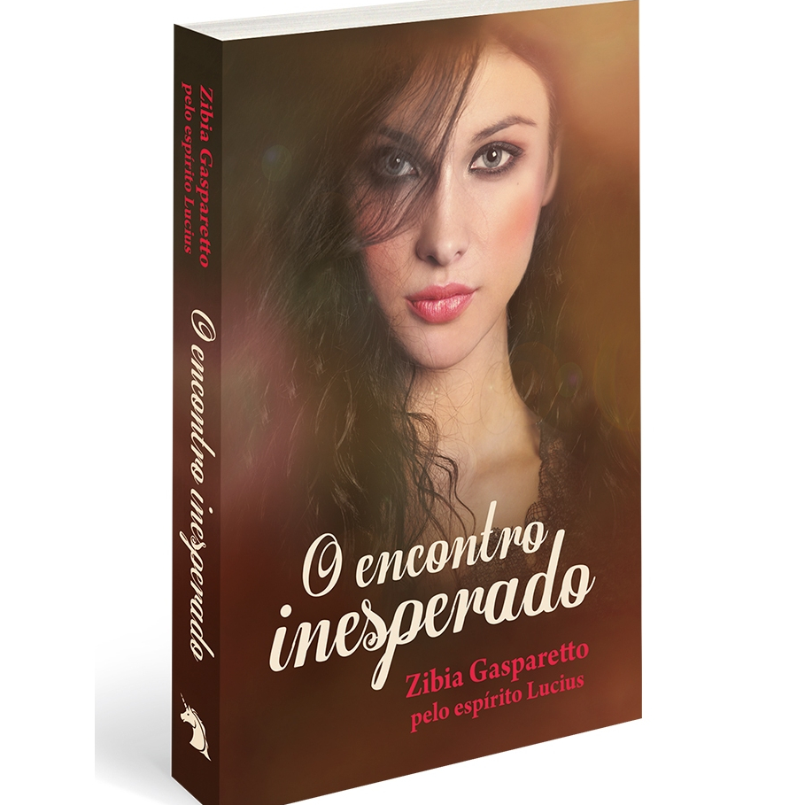 O encontro inesperado - Edição econômica | Zibia Gasparetto | Romance em Oferta na Shopee