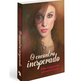 O encontro inesperado - Edição econômica | Zibia Gasparetto | Romance em Oferta na Shopee