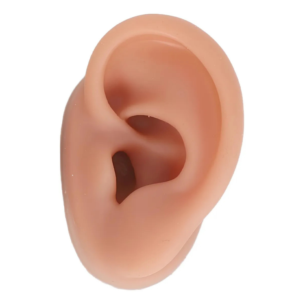 Orelha Silicone Anatômica Realista Esquerda Auriculoterapia em Oferta na Shopee