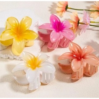 Kits Ate 12 Peças Grampos piranha GRANDE De Cabelo Flor De Feriado De Praia Barrettes em Oferta na Shopee