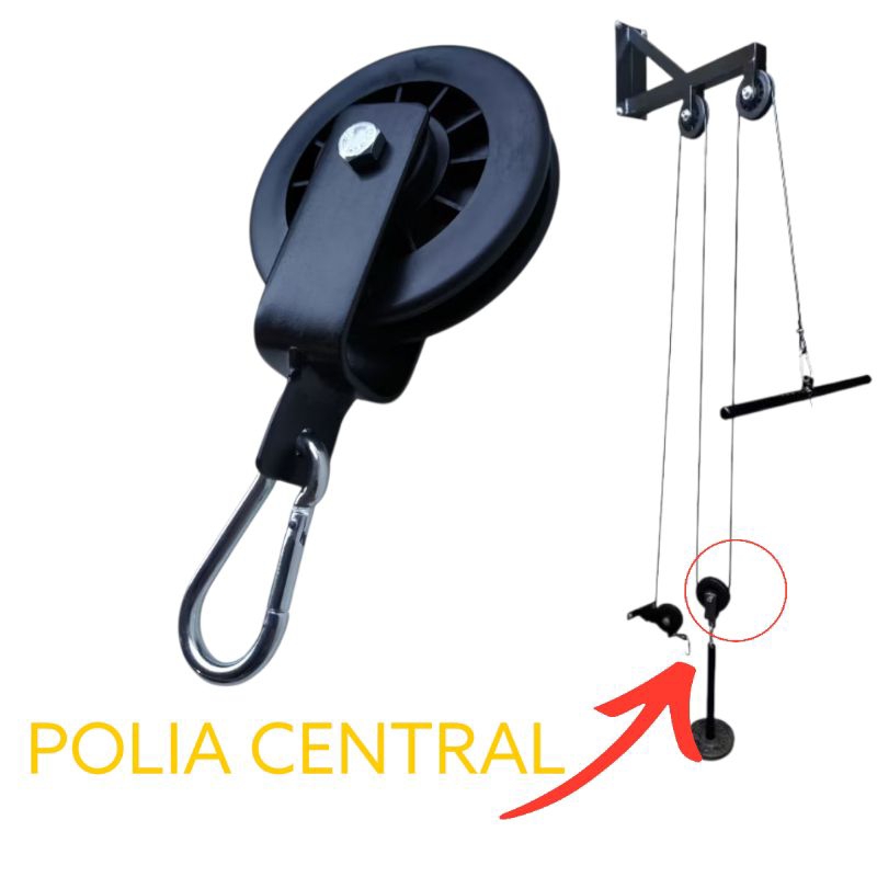 Polia Academia: Guia Completo e Onde Comprar | BuscaProdutos