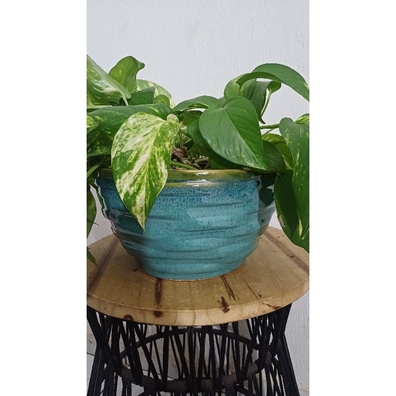 bacia cerâmica esmaltado cor verde com azul altura 15cm boca 26m