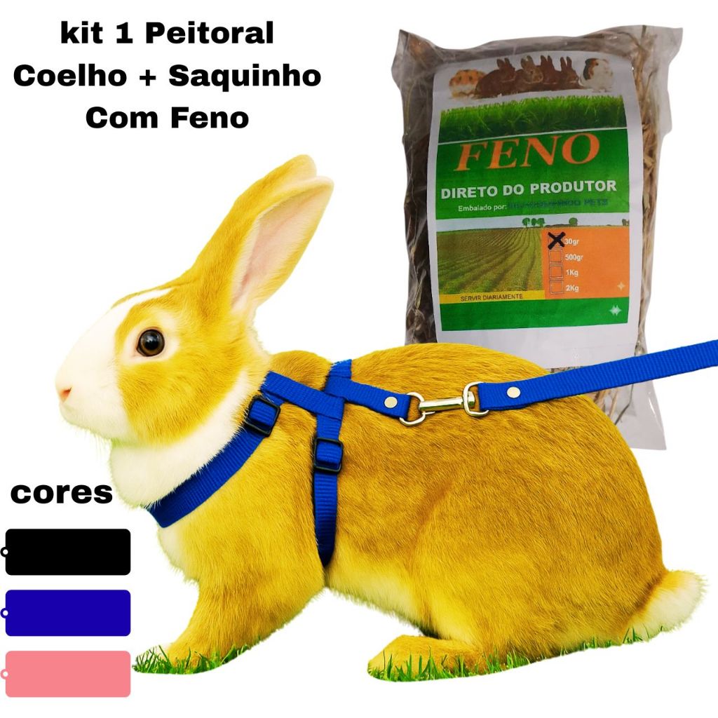 Kit 1 Peitoral Guia 2m Coelho + Saquinho 30g Feno Coelho Chinchila Furão Cães Pequenos Premium