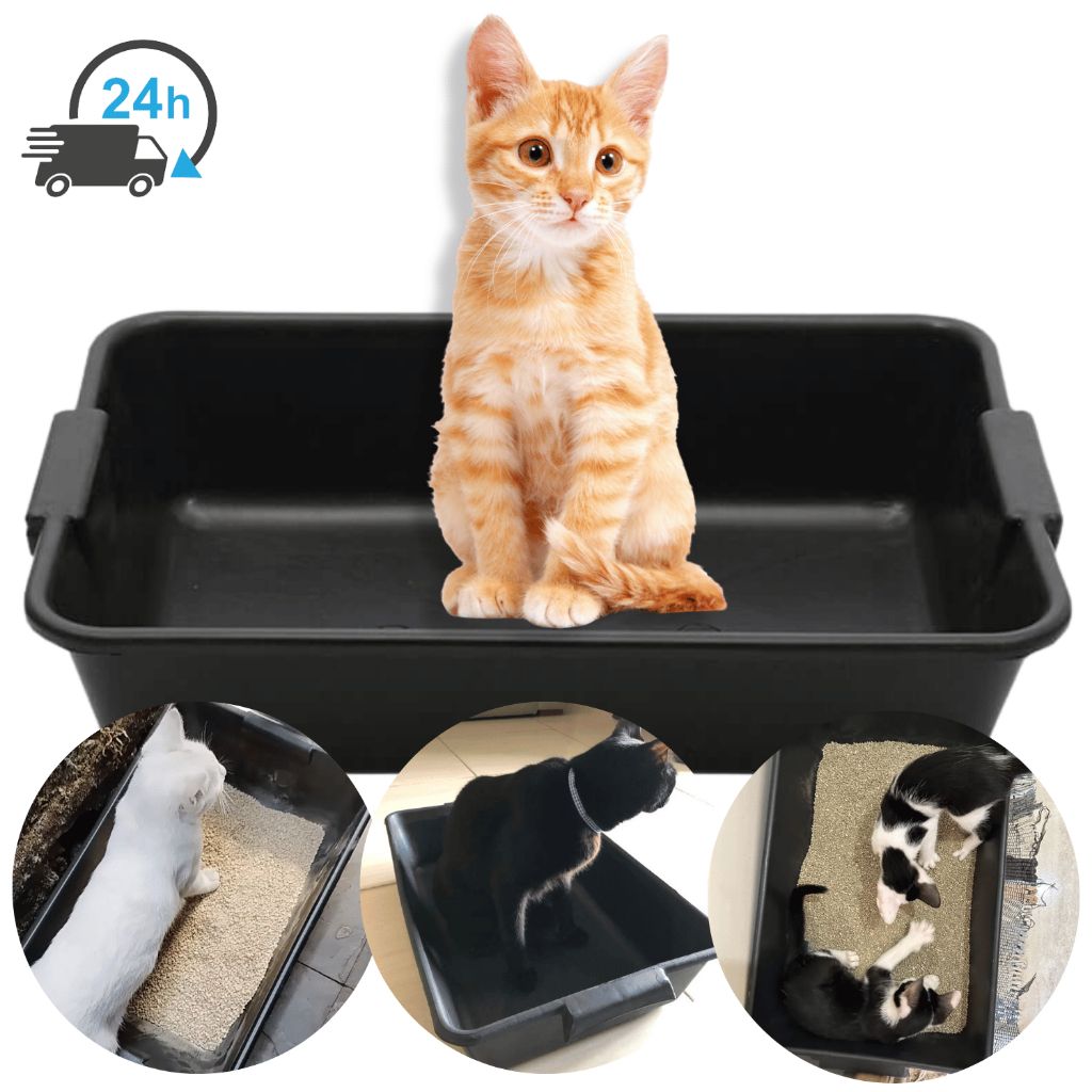 Caixa De Areia Para Gato Pet Caixa Grande 22 Litros Caixa Para Massa Masseira Construção