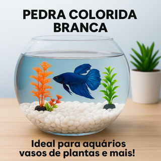 Kit Decoração Aquário Pedra Branca 980g + 5 Plantas Sortidas Aqua Space enfeite aquário de peixes em Oferta na Shopee