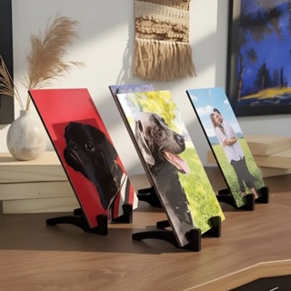 Quadro Personalizado 10x15cm - COM SUPORTE  Spotify Cachorro Gato  Presente QUALQUER IMAGEM em Oferta na Shopee