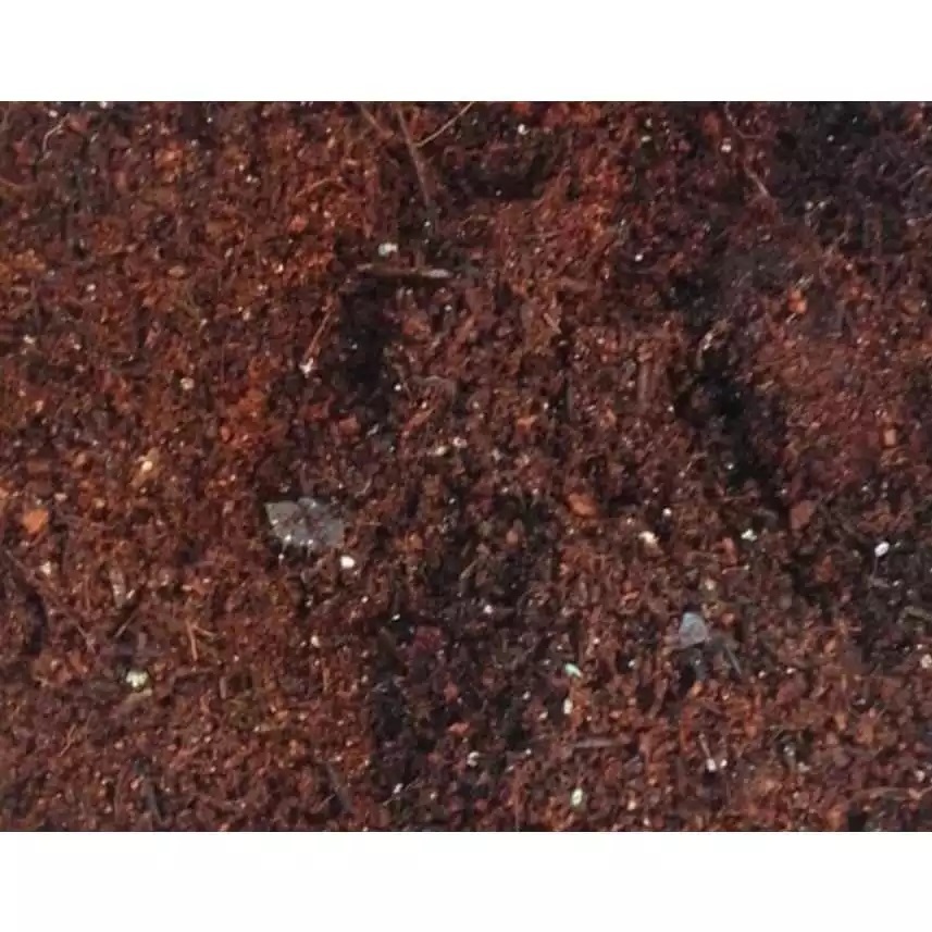 Substrato Plantio Vasos, Mudas E Floreira Premium Terra 1kg em Oferta na Shopee