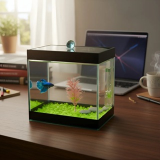 Aquário Beteira 15x9x13 Decorado Fita Planta Peixes Fish Linda e Bonita Prefeita para sua casa Apartamento em Oferta na Shopee