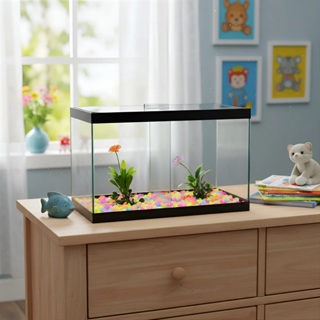 Aquário Duplo N2 25x13x18 Decorado 2 Peixe Betta Planta 5lt Para dois peixes no mesmo áquario em Oferta na Shopee