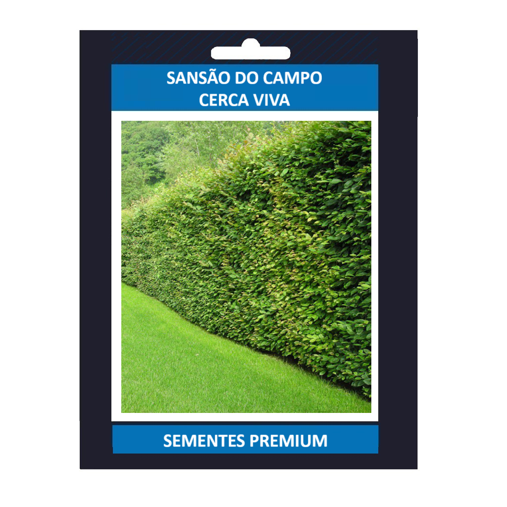 EXCLUSIVO 500 Semente De Sansão Do Campo Para Cerca Viva (sabiá) Premium EXCLUSIVO