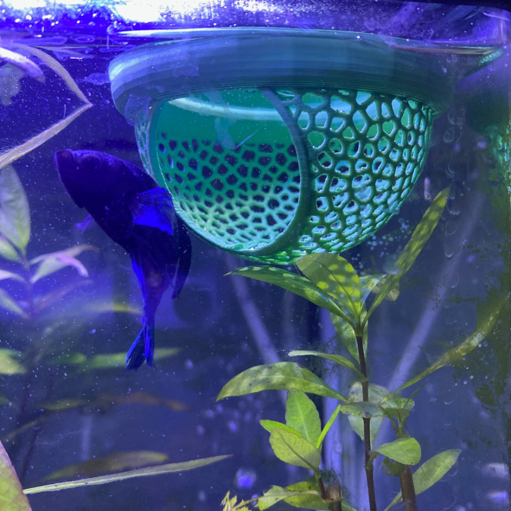 Esconderijo Flutuante para Peixes Betta – Toca para Aquário Cama de Descanso Formato Folha - Decoração Aquarismo