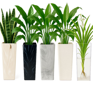 Vaso de Plantas e Flores Marmorizado Sala Cozinha 30cm - Cores em Oferta na Shopee