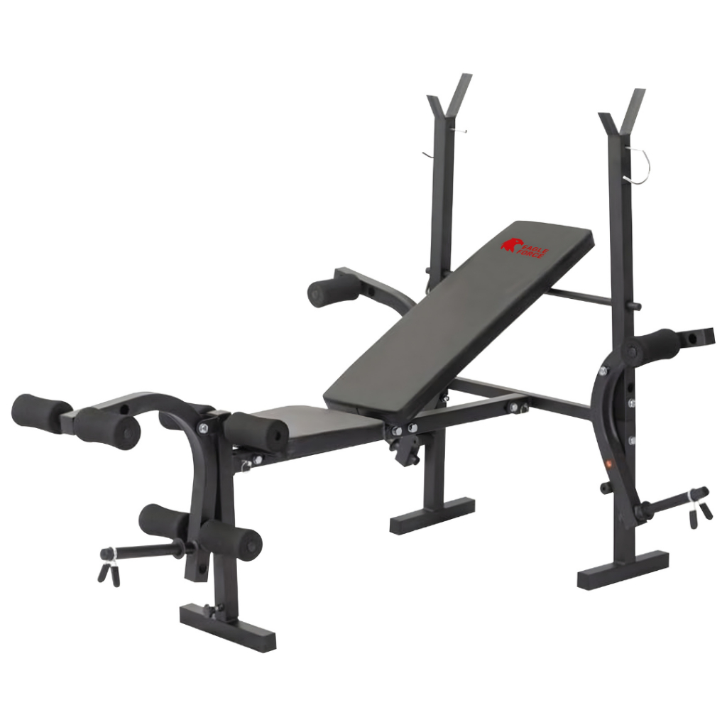 Treino Estação Musculação: Onde Comprar | BuscaProdutos