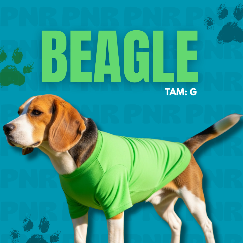 Moda Pet Midi – Roupas com proteção solar 50+ para Cães de Médio Porte • Pé na Roça Cia Country em Oferta na Shopee