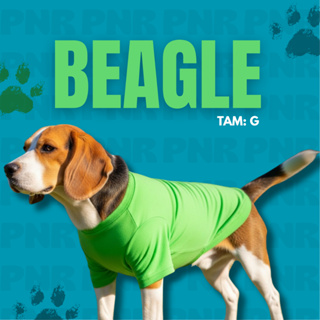 Moda Pet Midi – Roupas com proteção solar 50+ para Cães de Médio Porte • Pé na Roça Cia Country em Oferta na Shopee