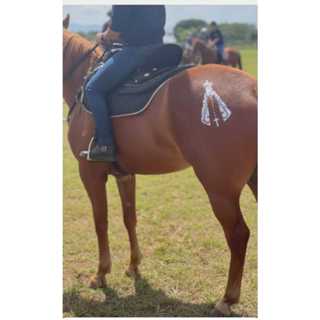 Moldes para tatuagem temporária em cavalos - (não acompanha (cola) e brilho (glitter) em Oferta na Shopee