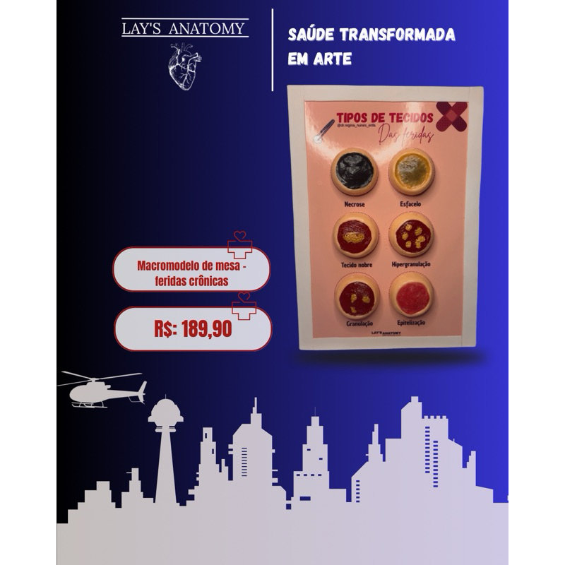 Macromodelo didático de mesa - Tecidos de lesões
