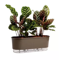 Jardineira Autoirrigável 40cm x 16cm - Terrazzo Basalto