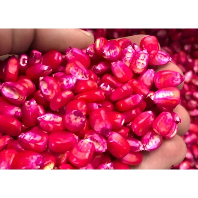 Curau de Milho: Guia Completo e Onde Comprar | BuscaProdutos