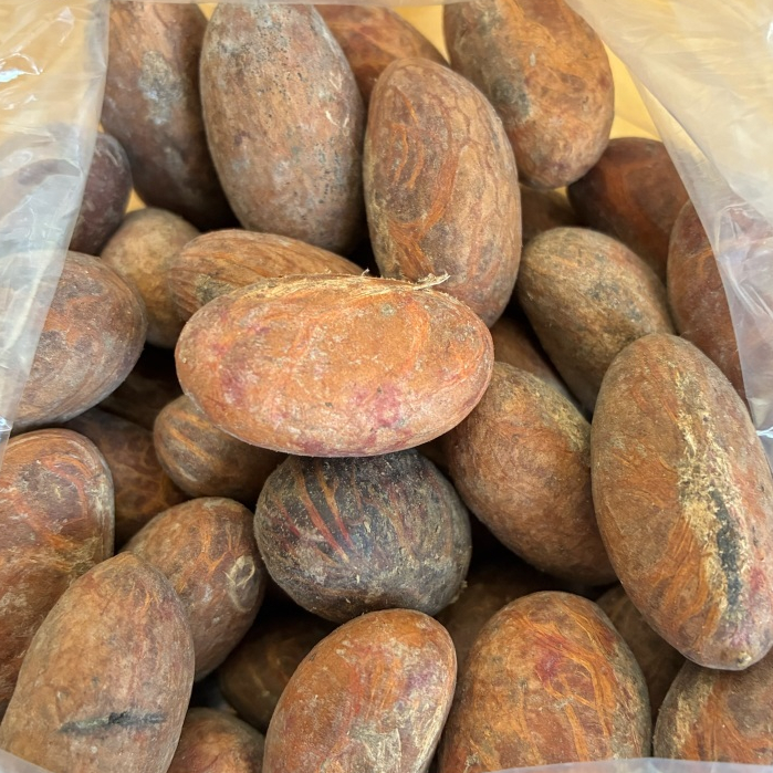 Kit 12 Unidades Orobo Orobó Orogbo Africano Qualidade Premium em Oferta na Shopee