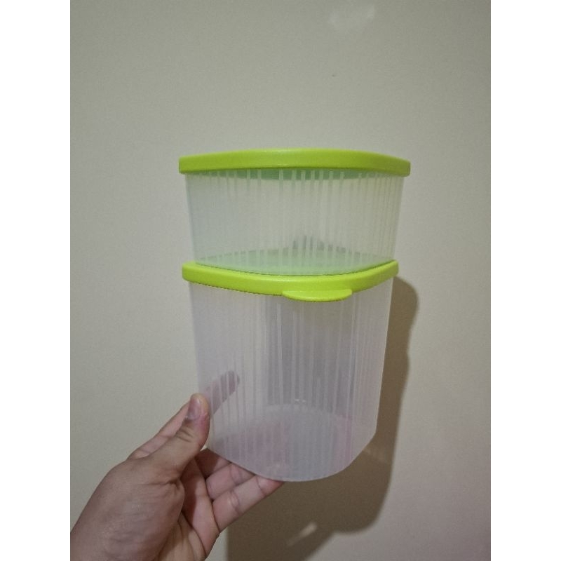 Kit 2 Fresh Box Quadradado Salsa Tupperware