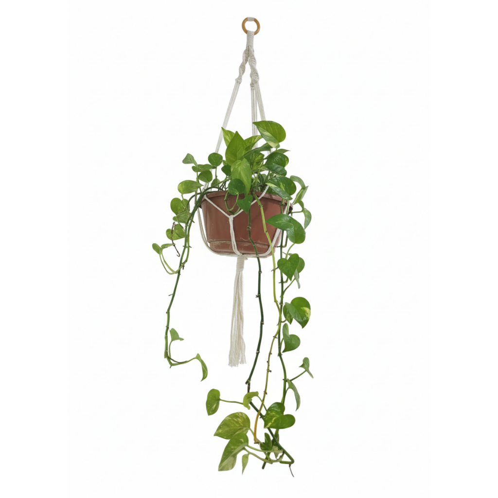 Suporte Aéreo para Vaso de Planta em Macramê, 90 cm, Rede Suspensa para Plantas