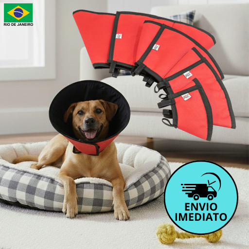 O que é Colar Elizabetano com Velcro? Guia e Onde Comprar | BuscaProdutos