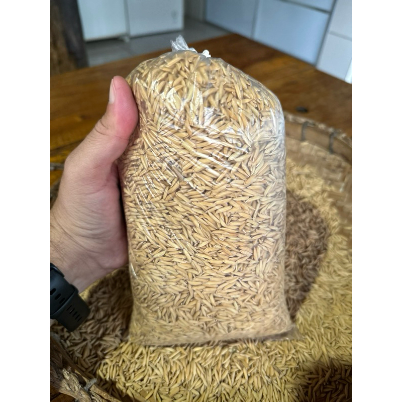 Arroz Agulhinha: Onde Comprar | BuscaProdutos