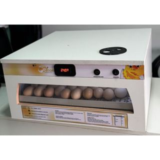 Chocadeira Automática 36 Ovos de Galinha + Ovoscópio em Oferta na Shopee