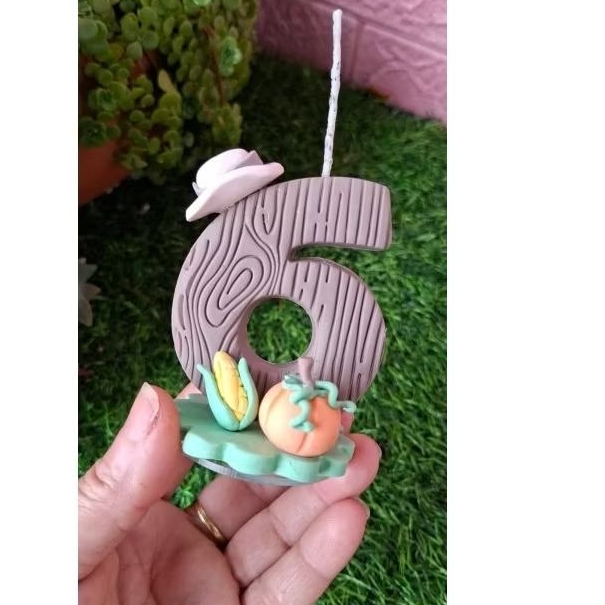 vela aniversário personalizada fazendinha agro menino