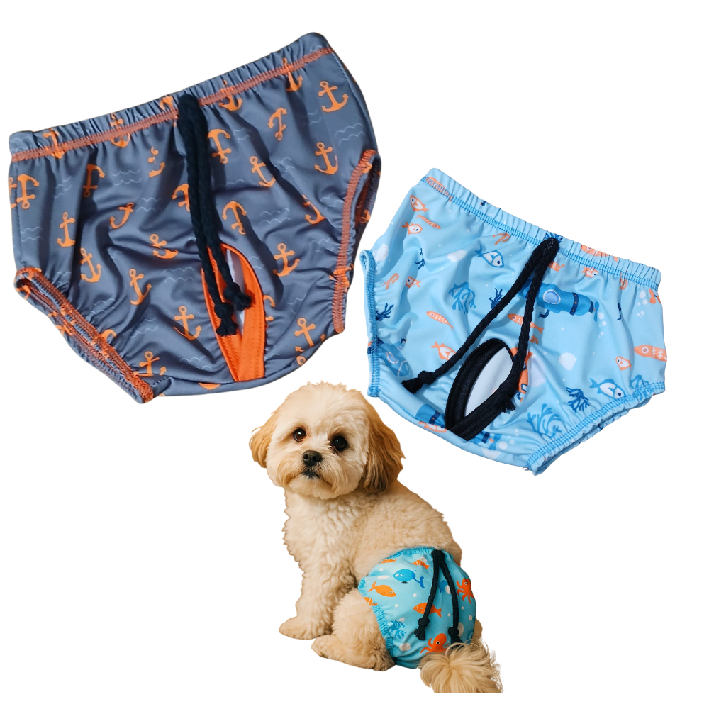 Sunga e Cueca para Cachorros de Pequeno Porte Estilo e Conforto na Praia UNIDADE em Oferta na Shopee