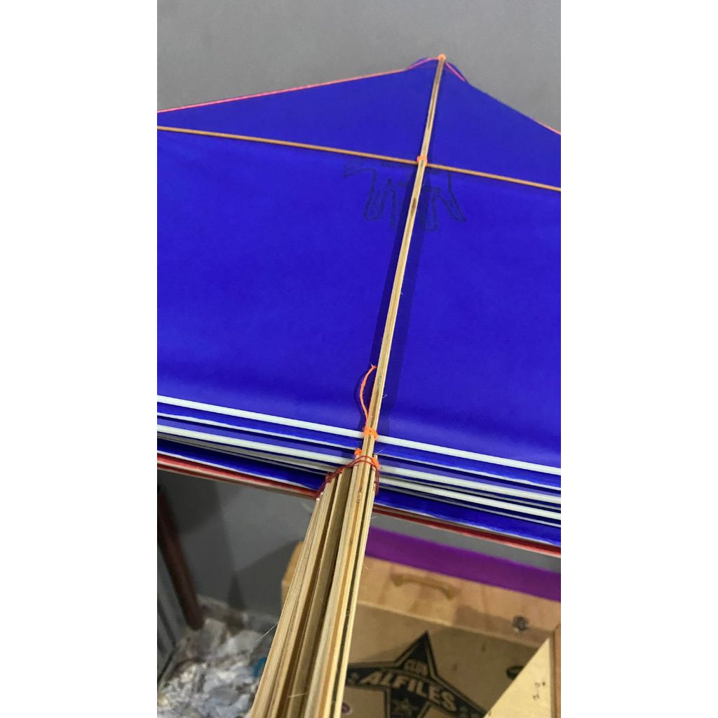 Detalhes do PIPA CACHORRO LOKO 57CM 25 UN TAPA NA CARA - PRONTA PARA O COMBATE