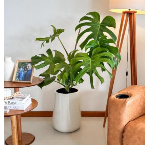 Vaso De Fibra De Vidro Paris P 45cm Brilhantes e Foscos Decorativo em Oferta na Shopee