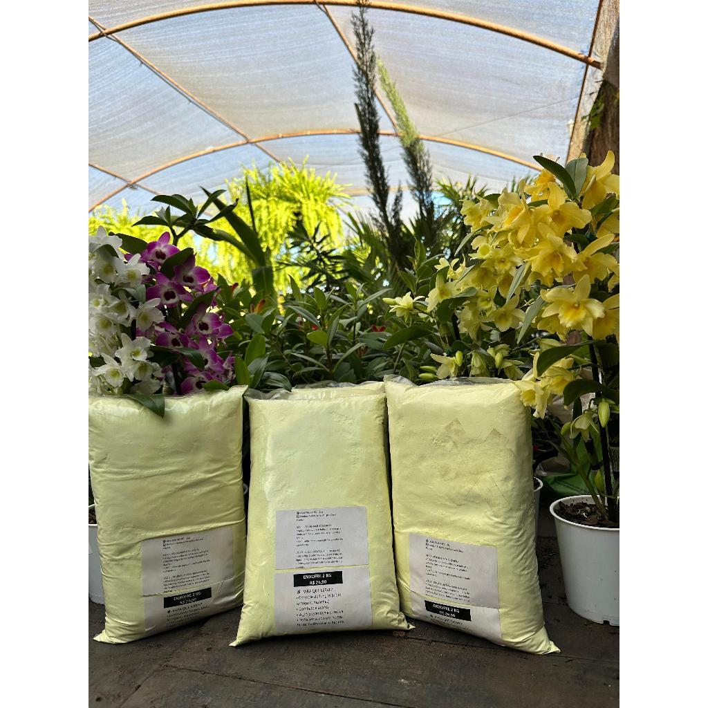 O que é Cuidados com Animais Peçonhentos? Guia e Onde Comprar | BuscaProdutos